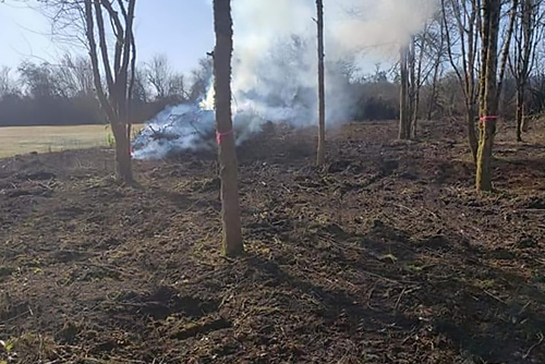 Land clearing in Vancouver Washington