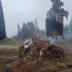 Land clearing in clark county WA