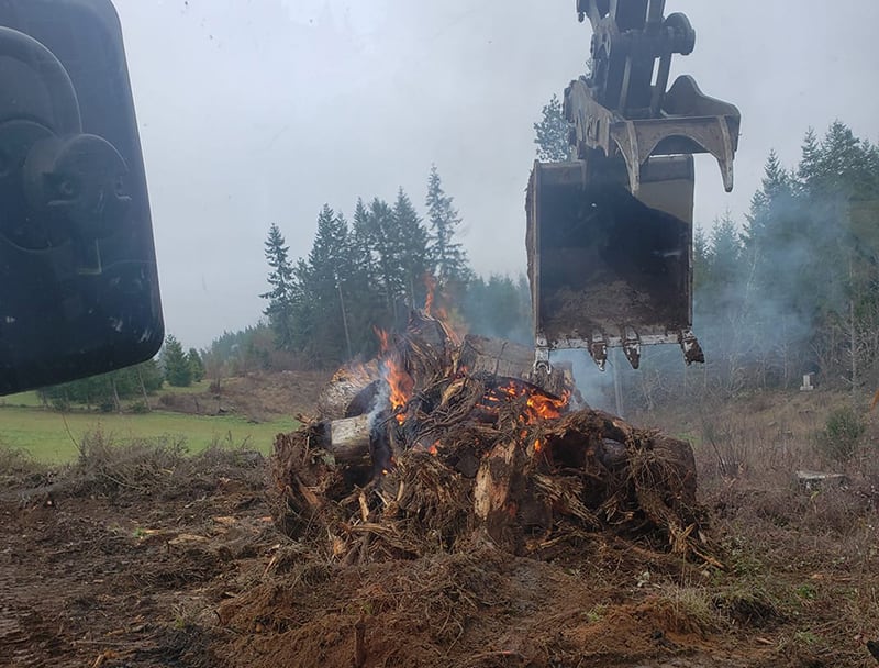 Land clearing in clark county WA