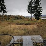 Brush clearing in Woodland Washington