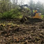 Brush clearing in Woodland WA