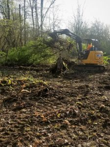 Brush clearing in Woodland WA