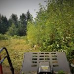Land clearing in Woodland Washington