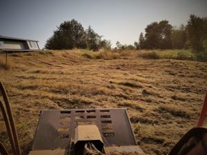 Land clearing in Camas Washington