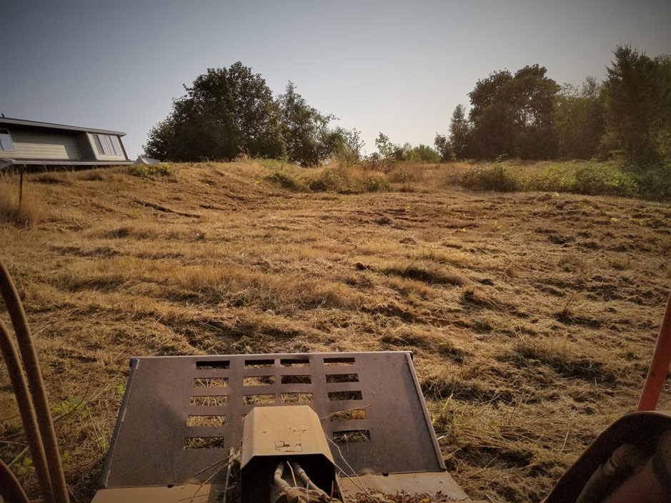 Land clearing in Camas Washington