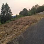 Land clearing in Woodland Washington