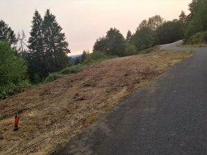 Land clearing in Woodland Washington