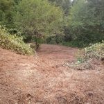 Land clearing in Clark County Washington