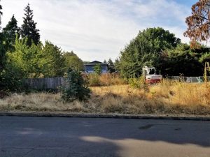 Brush clearing in Portland Oregon