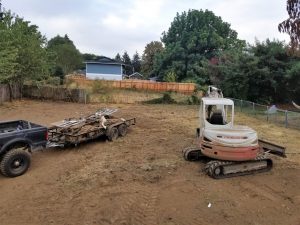 Brush clearing in Portland Oregon