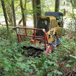 Brush clearing in Clark County WA