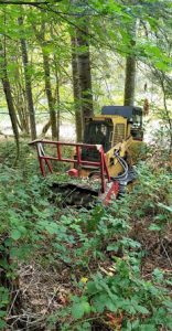 Brush clearing in Clark County WA